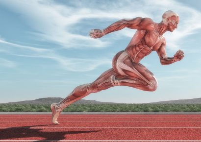 Muévete Formación - Curso Subvencionado - Fisiología del Ejercicio